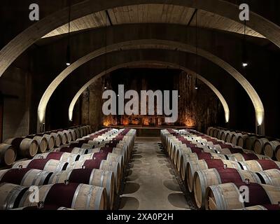 Una sala piena di botti di vino di legno accanto a colonne di cemento Foto Stock