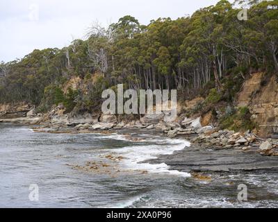 Vista panoramica di un lago circondato da una fitta foresta Foto Stock