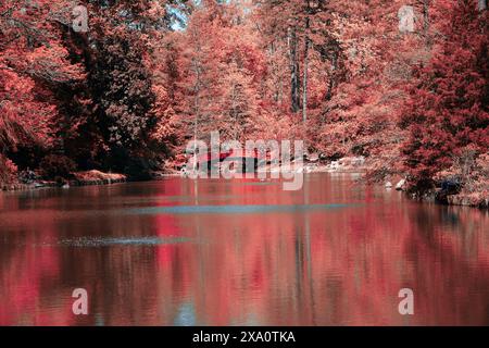 Un lago accanto a una foresta con vivaci foglie rosse Foto Stock
