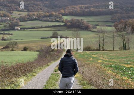 Giovane uomo caucasico in abbigliamento sportivo che cammina lungo una strada infinita che si snoda attraverso vasti campi verdi e gialli sotto le sfumature profonde dell'autunno avanzato. Foto Stock