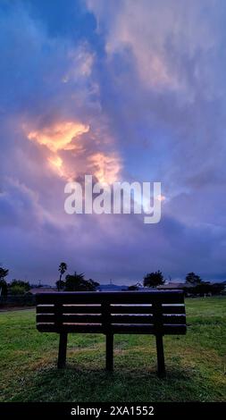 Panchina solitaria in un campo lussureggiante sotto il cielo coperto Foto Stock