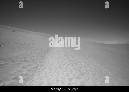 Una vista in scala di grigi di una duna sabbiosa del deserto ricoperta di impronte. Foto Stock