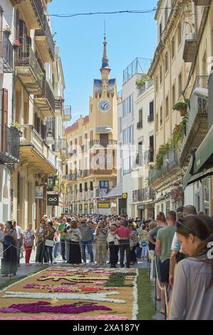 Sitges, Barcellona, Spagna - 3 giugno 2024: Immagine colorata della celebrazione del Corpus Christi a Sitges, che mostra la tradizione locale di creare fiori Foto Stock