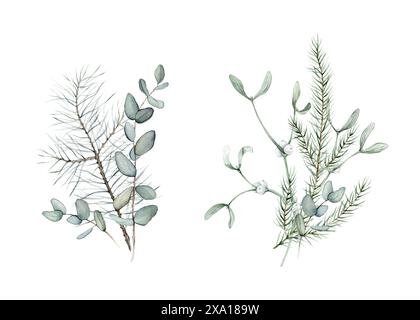 Composizione di Capodanno di piante verdi eucalipto e mistero bianco. Rami forestali di conifere di abete rosso o abete e pino. Disegno a mano con acquerello Foto Stock