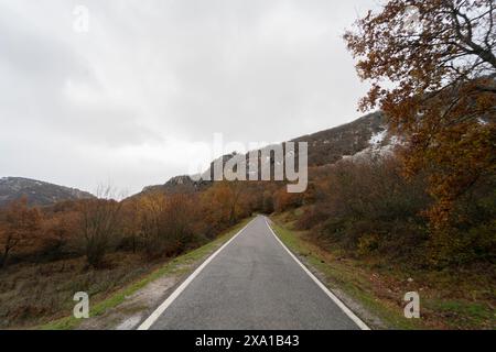 Imbarcati in un viaggio su strada autunnale lungo un'autostrada che si snoda attraverso uno splendido paesaggio adornato dalle sfumature della caduta, sotto un cielo nuvoloso. Foto Stock