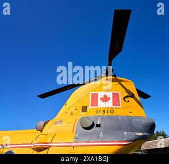 Primo piano dei rotori sulla coda di un Boeing Vertol CH-113 Labrador 11310 giallo brillante all'Heritage Air Park di Comox, British Columbia. Foto Stock