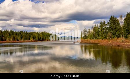 Affacciato su un tranquillo lago con un litorale di grandi sempreverdi e arbusti arancioni verso le montagne lontane in una giornata soffusa. Foto Stock