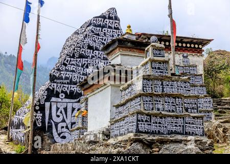 Mani di pietre sacre del Nepal con mantra scritto e scolpito sulla superficie. Pietre di preghiera shire sul sentiero di trekking di montagna sull'Everest base Camp Trek Foto Stock