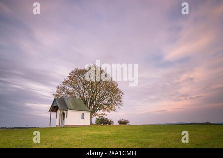 Un singolo albero in un ampio campo con una cappella al tramonto Foto Stock