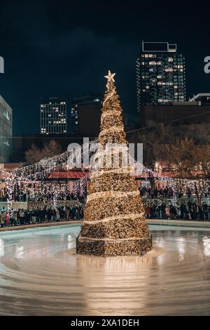 Un grande albero di Natale illuminato in una fontana di notte. Foto Stock