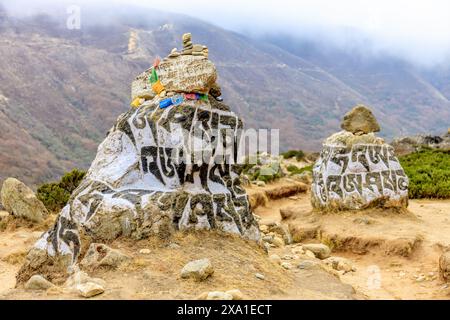 Mani di pietre sacre del Nepal con mantra scritto e scolpito sulla superficie. Pietre di preghiera shire sul sentiero di trekking di montagna sull'Everest base Camp Trek Foto Stock