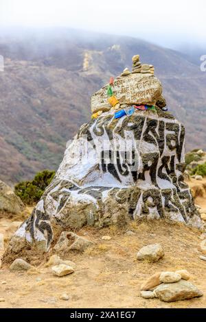 Mani di pietre sacre del Nepal con mantra scritto e scolpito sulla superficie. Pietre di preghiera shire sul sentiero di trekking di montagna sull'Everest base Camp Trek Foto Stock