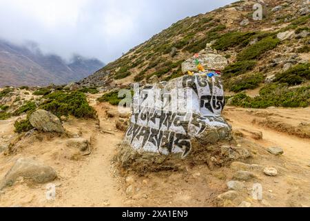 Mani di pietre sacre del Nepal con mantra scritto e scolpito sulla superficie. Pietre di preghiera shire sul sentiero di trekking di montagna sull'Everest base Camp Trek Foto Stock