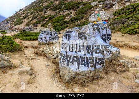 Mani di pietre sacre del Nepal con mantra scritto e scolpito sulla superficie. Pietre di preghiera shire sul sentiero di trekking di montagna sull'Everest base Camp Trek Foto Stock