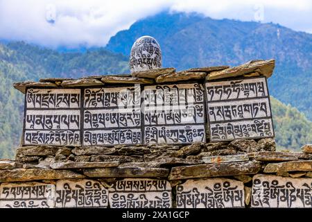 Mani di pietre sacre del Nepal con mantra scritto e scolpito sulla superficie. Pietre di preghiera shire sul sentiero di trekking di montagna sull'Everest base Camp Trek Foto Stock