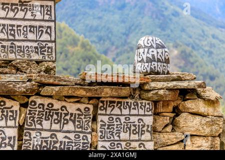 Mani di pietre sacre del Nepal con mantra scritto e scolpito sulla superficie. Pietre di preghiera shire sul sentiero di trekking di montagna sull'Everest base Camp Trek Foto Stock