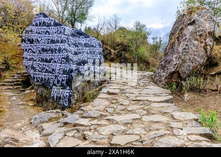 Mani di pietre sacre del Nepal con mantra scritto e scolpito sulla superficie. Pietre di preghiera shire sul sentiero di trekking di montagna sull'Everest base Camp Trek Foto Stock