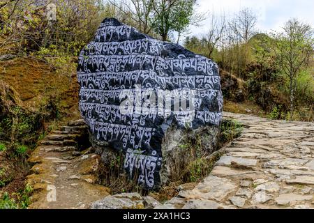 Mani di pietre sacre del Nepal con mantra scritto e scolpito sulla superficie. Pietre di preghiera shire sul sentiero di trekking di montagna sull'Everest base Camp Trek Foto Stock