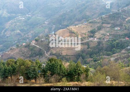 Vista aerea dei terreni agricoli su una collina nepalese Foto Stock