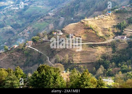 Vista aerea dei terreni agricoli su una collina nepalese Foto Stock