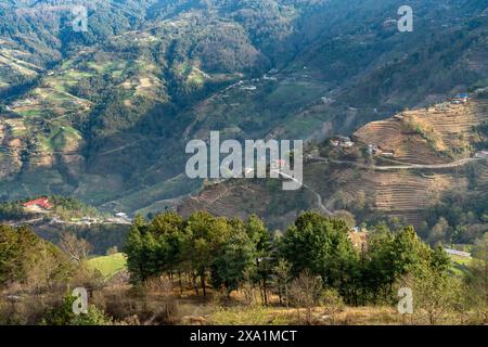 Vista aerea dei terreni agricoli su una collina nepalese Foto Stock