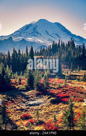 Vivaci colori autunnali e tramonto al Parco Nazionale del Monte Rainier. Foto Stock