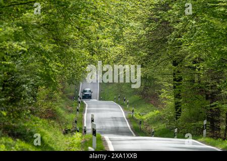 Piccola strada asfaltata che sale e scende tra gli alberi verdi Foto Stock