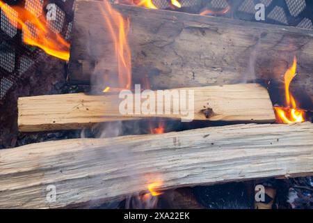 I tronchi bruciano in un caminetto all'aperto. Foto Stock