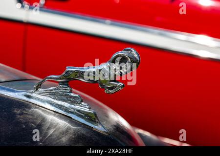 L'ornamento del cofano montone su una Dodge degli anni '1930. Foto Stock