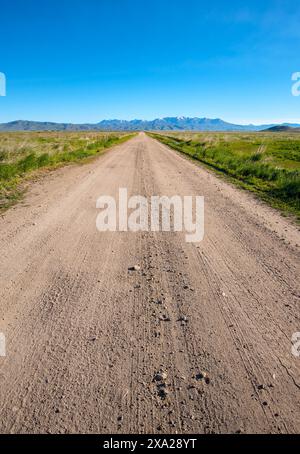 Strada nella palude Centennial Marsh di Camas Prairie, Idaho Foto Stock