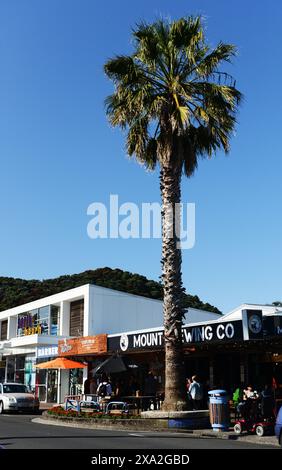 Il vivace bar e ristorante Brew Co. In Maunganui Road, Mount Maunganui, nuova Zelanda. Foto Stock