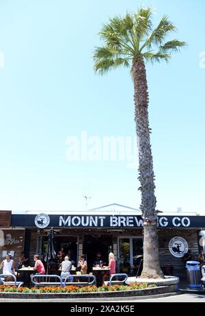 Il vivace bar e ristorante Brew Co. In Maunganui Road, Mount Maunganui, nuova Zelanda. Foto Stock