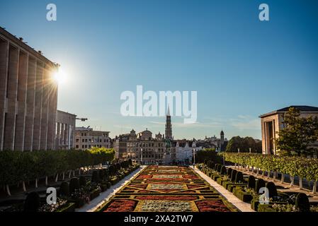 Vista del tramonto dal Giardino del Mont des Arts con la guglia del Municipio sullo sfondo - Bruxelles, Belgio Foto Stock