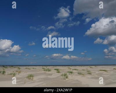 Spiaggia aperta con dune sparse sotto un cielo blu con nuvole e vista mare, Baltrum Germania Foto Stock
