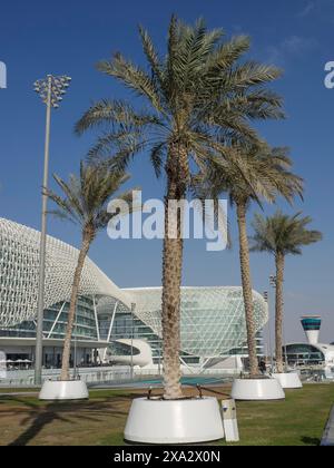 Alte palme di fronte ad un edificio moderno con reticoli e una spaziosa area verde, Abu Dhabi, Emirati Arabi Uniti Foto Stock