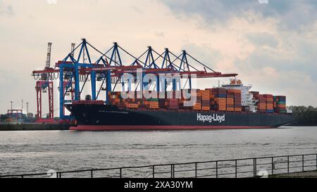 Vista sul porto di Amburgo con gru e navi portacontainer, Panorama, città anseatica di Amburgo, Amburgo, Germania Foto Stock