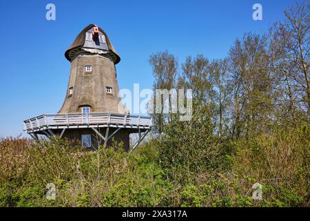 Storico mulino a vento senza vele nella parrocchia di Garding, nel distretto della Frisia settentrionale, Schleswig-Holstein, Germania Foto Stock