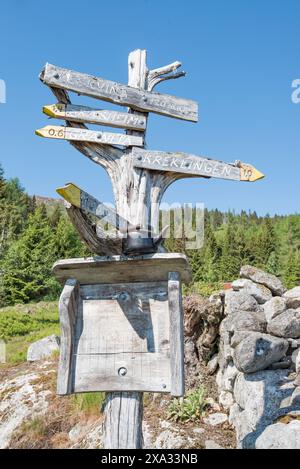 Sentieri naturalistici lungo il lato del fiordo e sopra il villaggio di Balestrand in Norvegia, alcuni offrono belle vedute, altri in questa pineta. Foto Stock