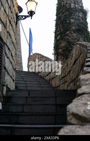 Antica scalinata in pietra in un antico castello che conduce al piano superiore. Un luogo storico con una storia interessante. Foto Stock