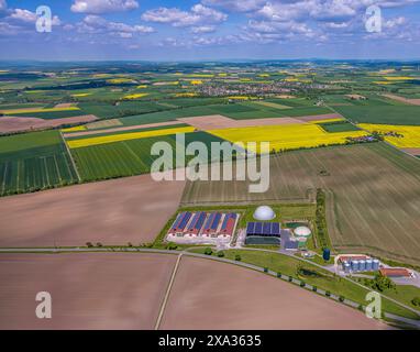 Vista aerea, impianto di biogas e fattoria con tetto solare, Gutsverwaltung Gut Dinkelburg Graf von Westphalen, vista lontana del cielo blu e dei prati piastrellati e. Foto Stock