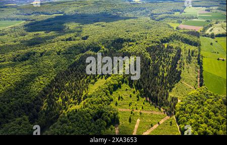 Foto aerea, riserva naturale Hinnenburger Forst con Emder Bachtal, presso il Mühlenbach, area forestale mista, Nieheim, Westfalia orientale, Renania settentrionale-Westph Foto Stock