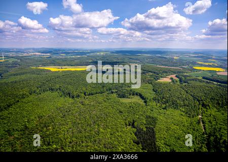 Foto aeree, riserva naturale Hinnenburger Forst con Emder Bachtal, radura a forma di cuore, Alhausen, Bad Driburg, Westfalia orientale, Renania settentrionale-Westpha Foto Stock