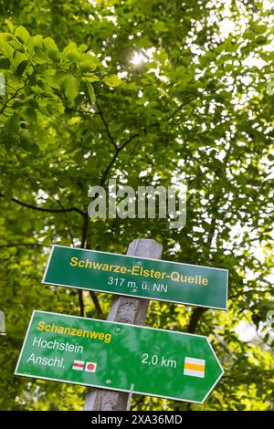 Elsterquelle, hier entspringt die Schwarze Elster, südlich von Elstra, in der Nähe des Ortsteils Kindisch, Oberlausitz, Sachsen, Deutschland *** Elste Foto Stock