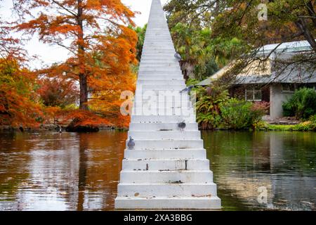 Giardini botanici di Christchurch - nuova Zelanda Foto Stock