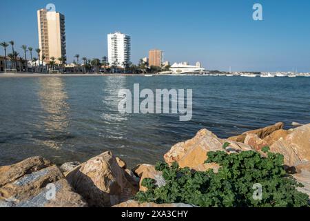 Vista della costa spagnola, con rocce e fogliame in primo piano, in una giornata di sole con un cielo blu. La costa è Mar Menor, Costa Calida Foto Stock