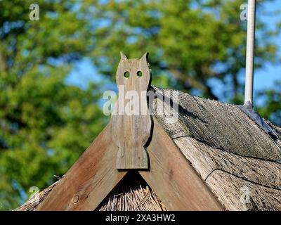 I gufi intagliati spesso adornano i frontoni dei fienili con tetto di paglia nel Meclemburgo-Pomerania occidentale, una caratteristica dell'architettura rurale. Foto Stock