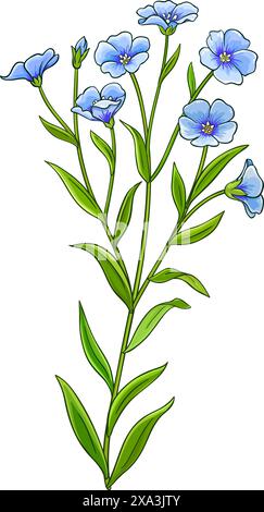 Illustrazione dettagliata colorata impianto di lino Illustrazione Vettoriale