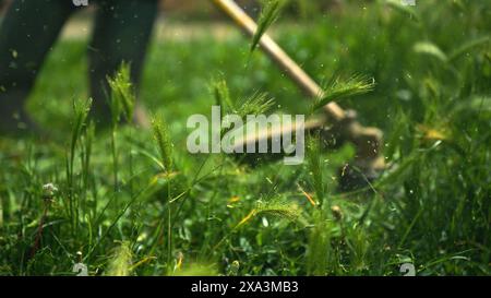 Rifilatura del prato con taglierine per filo manuale tagliaerba e rasaerba, messa a fuoco selettiva Foto Stock
