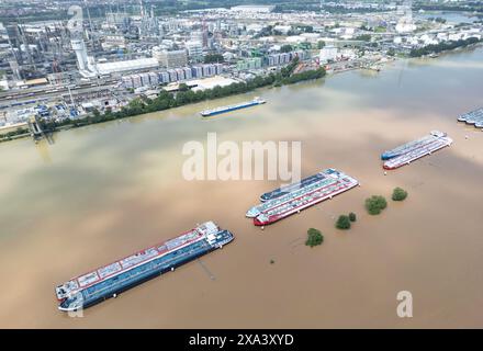 Mannheim, Germania. 5 giugno 2024. Le navi sono ancorate con l'alta marea nel mezzo del Reno, che ha scoppiato le sue sponde vicino allo stabilimento BASF (vista aerea con un drone). Credito: Boris Roessler/dpa/Alamy Live News Foto Stock