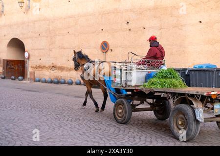 La gente del posto di Marrakech percorre le labirintiche strade della città in un tradizionale carro trainato da cavalli, il fascino dell'Enduring di Marrakech, Marrakech, Marocco - gennaio Foto Stock